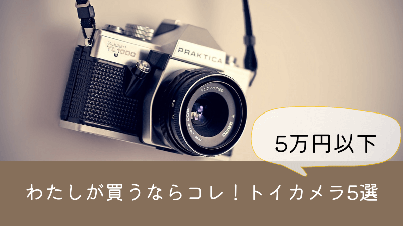 ５万円以内で買うトイカメラ
